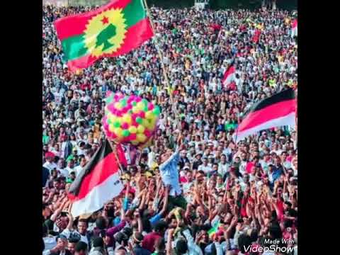 #SUBSCRIBE~~~£Artist Andualem Gosa #Rifanna #Jawar koo