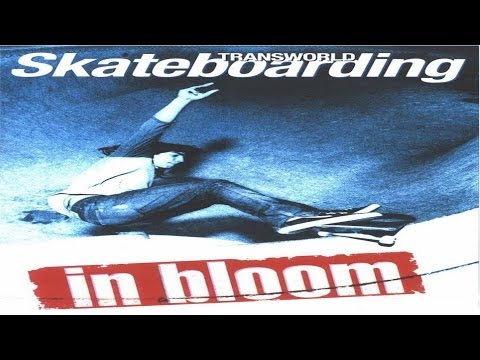 Transworld - In Bloom (2002)