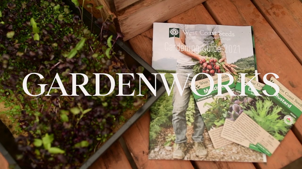 Tips and Tricks with Seed Starting | GARDENWORKS Canada
