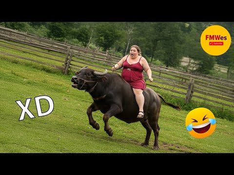 SI TE RÍES PIERDES NIVEL DIOS #322 🤣 COMPILACIÓN ARREPENTIMIENTO INSTANTÁNEO FRACASO 2025🤣