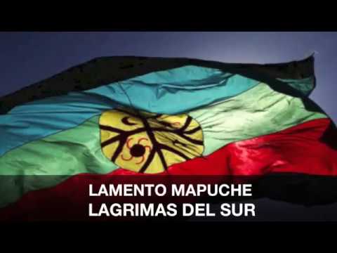 download lagu mp3 mp4 La Viajera Soledad, download lagu La Viajera Soledad gratis, unduh video klip La Viajera Soledad