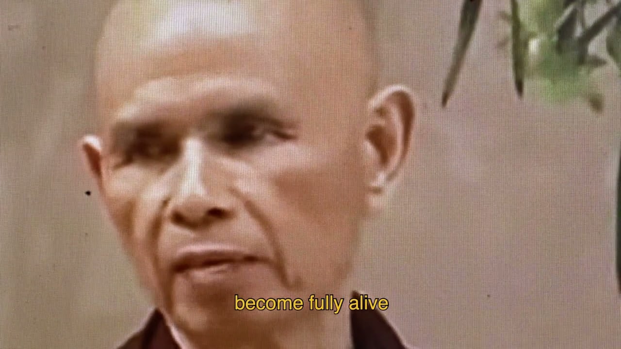 Flowers - Sheffield DocFest 2024