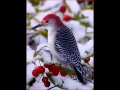 WINTERTIME BLUES