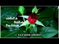 Roja Roja Song Whatsapp Status Kathalar Thinam Songs Ar Rahman Tamil Songs Ar Rahman Songs GP