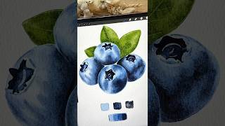 How to draw blueberry fruit on procreate digital watercolor #procreate #digitalart #art #drawing