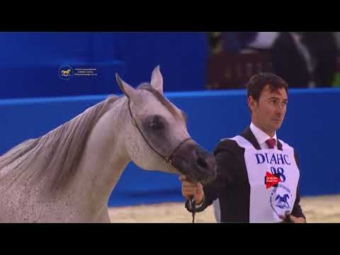 98 FAZEA AL ZOBAIR Dubai 2018