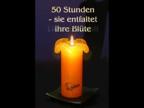 Lotuskerze - die Kerze mit dem Blüteneffekt