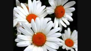 Alex Simmons-So Perfect