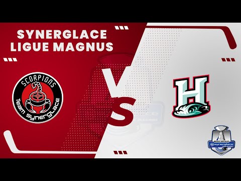 Hormadi 4-2 Scorpions | Pas de point mais des poings...