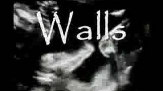 Crass- Walls