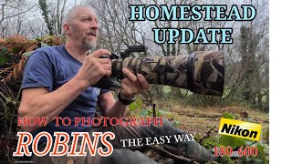 Homestead Update - The easy Way To Photograph Robins