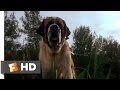 Cujo 1 8 Movie CLIP A Bat Bites Cujo 1983 HD