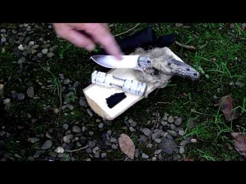 download lagu mp3 mp4 Tera Light Fire Starter, download lagu Tera Light Fire Starter gratis, unduh video klip Tera Light Fire Starter