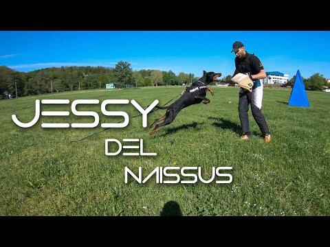 Jessy del Naissus - training