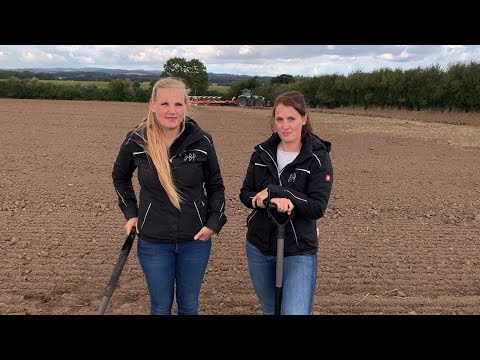 Bodenbearbeitung nach Winterraps 2020