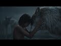 Jungle Book 2016 Mowgli Leaves The Wolf Pack