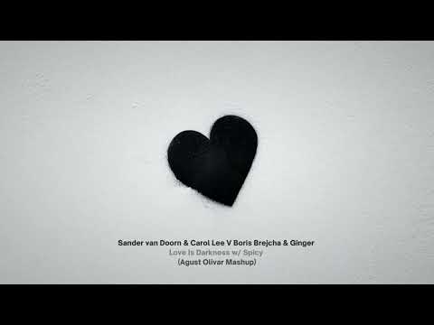 Sander van Doorn V Boris Brejcha - Love Is Darkness w/ Spicy (Agust Olivar Mashup)