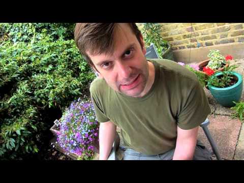 BBC Proms 2011: Classical Music isn't Difficult