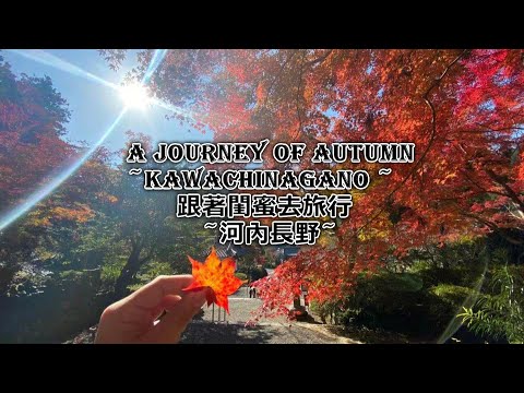 A Journey of Autumn ~vol.2 "Kawachinagano" ~・跟著閨蜜去旅行 ~vol.2 河內長野篇~
