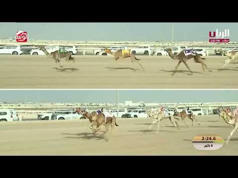  ش 16 (نزاح) لـ حمد سعيد ال سالمين المنصوري 5:54:81 , مهرجان الأمير الوالد 2026/2/4 حقايق الشحانية