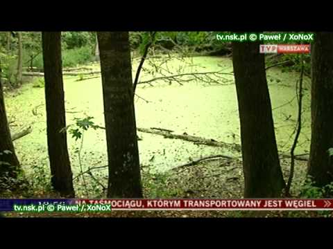 tv.nsk.pl 2012-09-06 Puszcza Kampinowska nadal kryje wiele zagadek