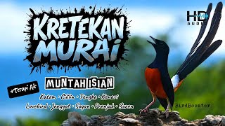 Download lagu KRETEKAN EMOSI MURAI BATU GACOR NEMBAK ISIAN KASAR TAJAM!! mp3