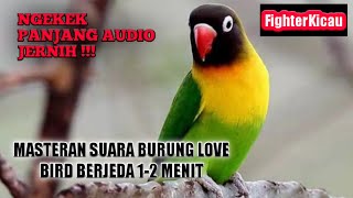 Download lagu MASTERAN BURUNG LOVEBIRD NGEKEK PANJANG || BERJEDA 1-2 MENIT mp3