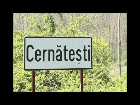 Grupul folcloric Grecesti-Cernatesti, Dolj - Scurtă prezentare