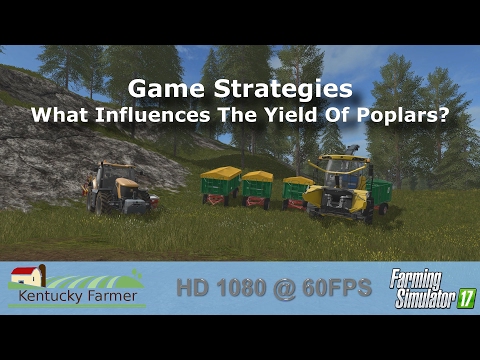 FS17 - What Influences The Yield Of Poplars?