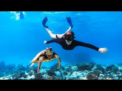 AMAZING CLEAR WATER FREE DIVING Deep Sea Jetski Jigging (Friendly Turtle) - Ep 107