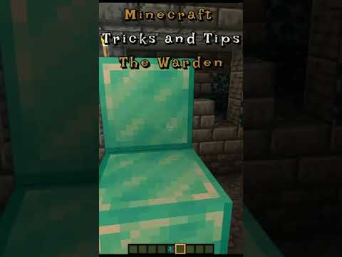 Minecraft Tips and Tricks 😎 The Warden