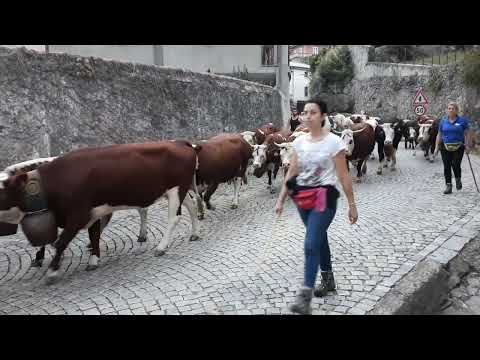 transumanza 1 10 2023