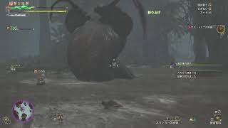 【モンハンワイルズ】ウズトゥナ周回