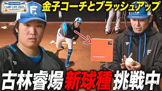 [分享] 古林睿煬 與金子千尋教練一起在牛棚嘗試