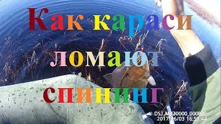 Как ловят карася в якутии