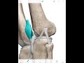 Unexplained Knee Pain (Chondromalacia Patella)