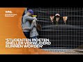 Na Fouad L. laait discussie op over het verwijderen van studenten van geneeskundeopleidingen