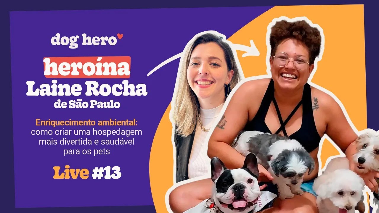 Enriquecimento ambiental: como criar uma hospedagem mais divertida e saudável para os pets | Live#13