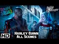 Harley Quinn Scenes Harley Quinn All Scenes The Best Of Harley Quinn