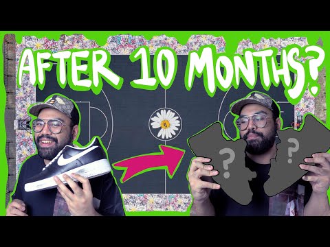 Ich habe meinen Nike AF1 Paranoise 10 MONATE lang JEDEN TAG getragen!! Das ist passiert!!