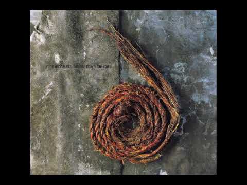 Self Destruction Final - Nine Inch Nails - Halo 10 - Further Down The Spiral - 1995 US