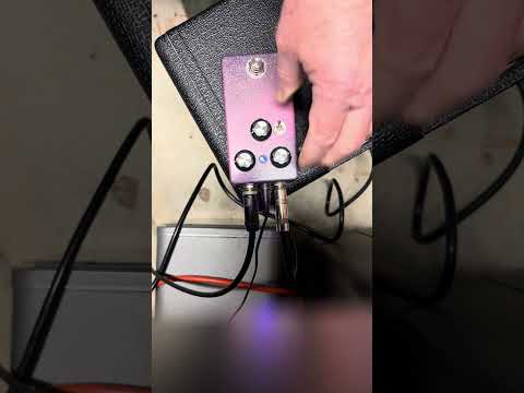 Homemade  Ram’s Head fuzz clone 2025 image 7