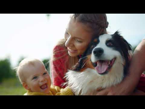 SAFE-ANIMAL