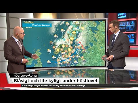 Kallt men solchanser på höstlovet - Nyheterna (TV4)