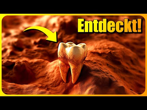 Video Thumbnail: NEUE Menschenart entdeckt! Rätsel um SELTENSTEN Menschen GELÖST!