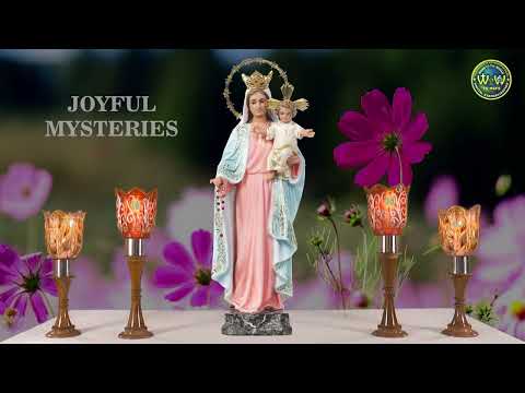 The Joyful Mysteries  | 14 JANUARY 2023 AT 6.00 PM | PRAYING FOR THE SICK AND THE SUFFERING