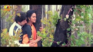 AR Rahman Roja Movie Songs Full HD - Paruvam Vanaga Song - Arvind Swamy, Madhubala