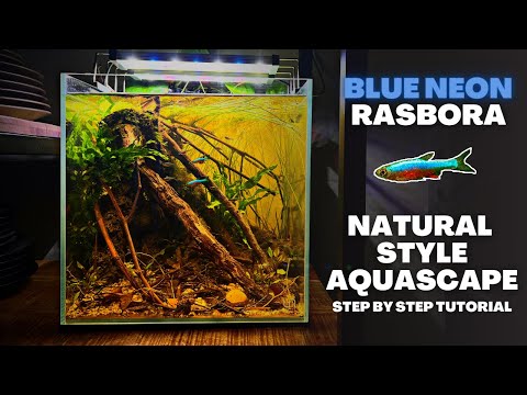 , title : 'UNS 30C BLACKWATER FOR BLUE NEON RASBORAS! Natural Style Aquascape Tutorial'