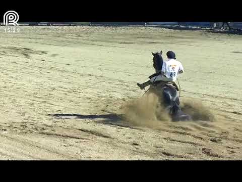 Final Freio de Ouro (RS) – 3° lugar machos – Colibri Matrero (Prova: Bayard/Sarmento)