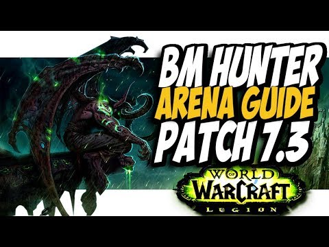 BM HUNTER PVP GUIDE! WoW Legion PvP Patch 7.3